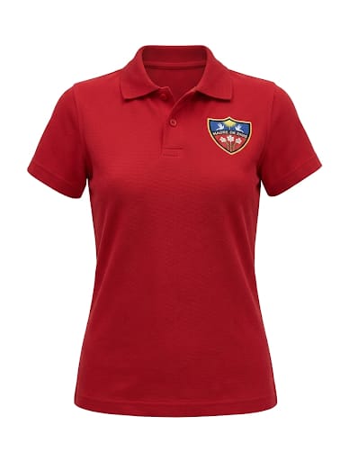 Polera uniforme colegio madre de dios frutillar
